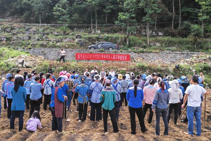 圖為培訓現場。