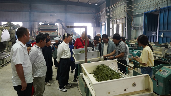 圖為專家在車間進行實操講解。