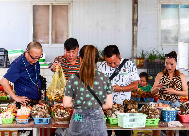 顧客正在選購野生菌。龍里縣委宣傳部供圖