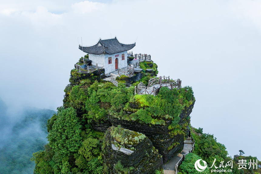 梵凈山老金頂。人民網記者 涂敏攝