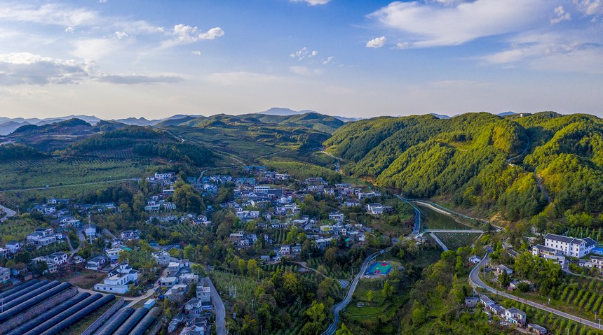 2023年6月15日拍攝的海雀村新貌。