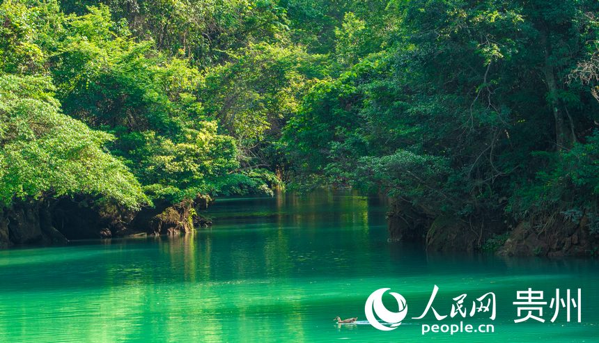 波光粼粼的湖面。人民網 陽茜攝