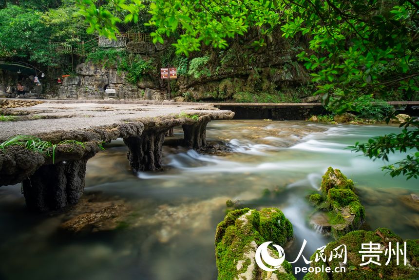 荔波被譽為“地球腰帶上的綠寶石”。人民網 涂敏攝