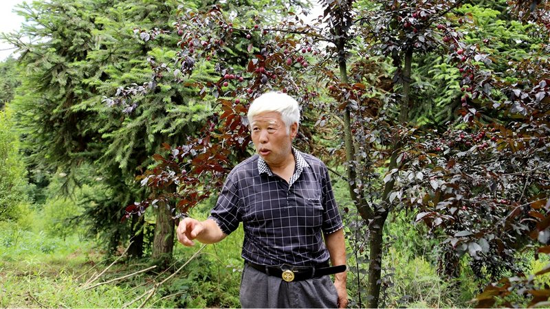 劉亞光 文俊入 攝.jpg