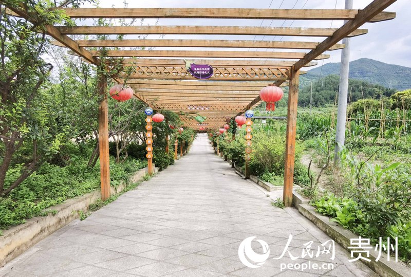 五新村文化長廊。人民網 王秀芳攝