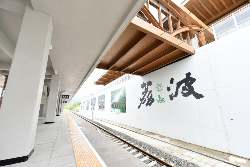 荔波站。胡志強攝