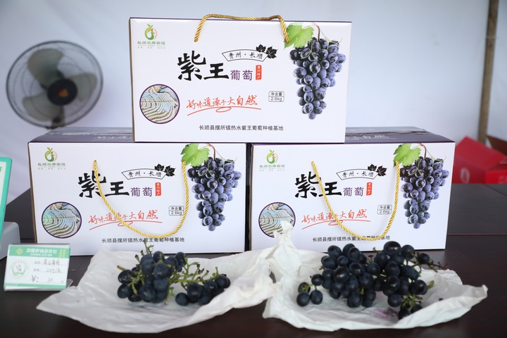 紫王葡萄產品展示。