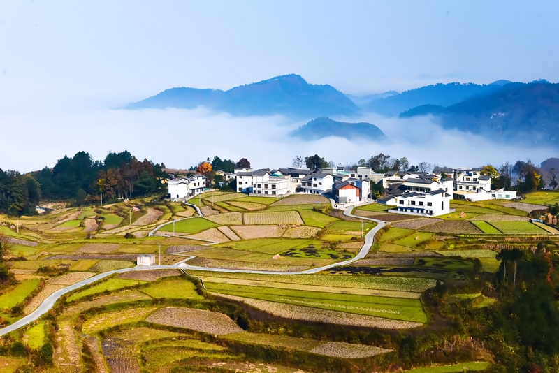 花溪高坡田園分光。鐘慶全攝