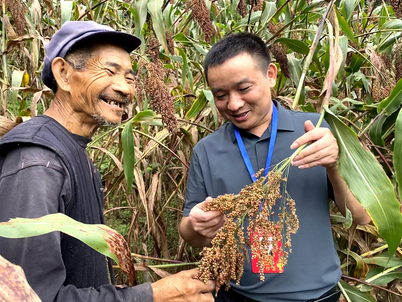 監督靠前 營造好“糧”風。