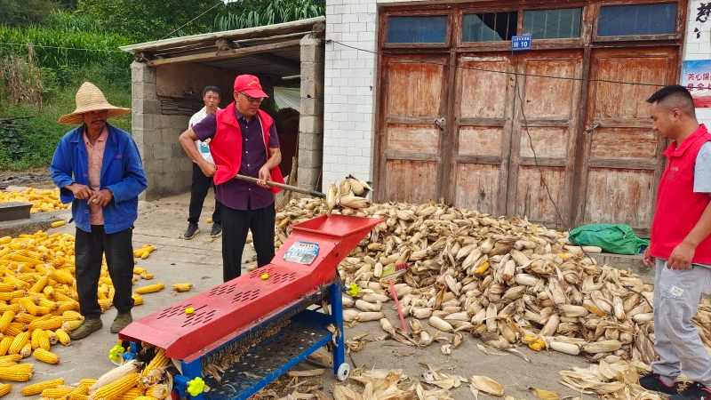 駐村干部經常正在給村民干農活。