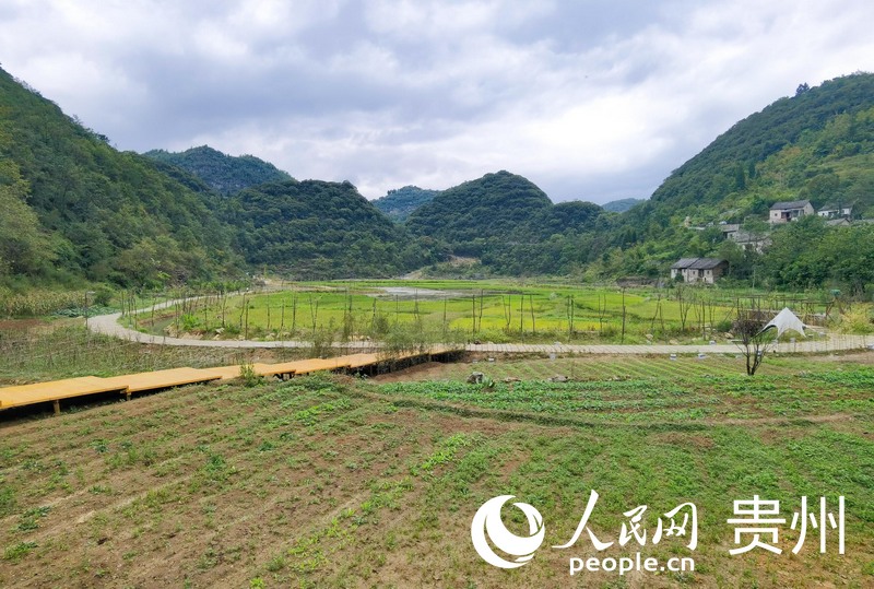 “你家院”田園風光。人民網 王秀芳攝