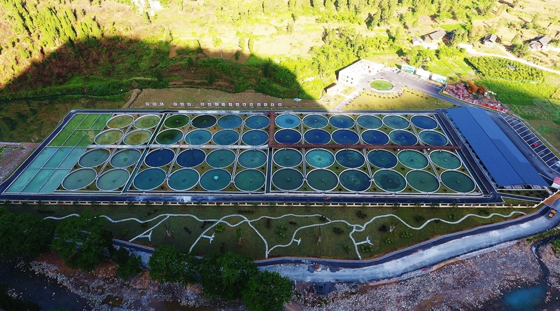 江口縣閔孝鎮冷水魚養殖示范區。