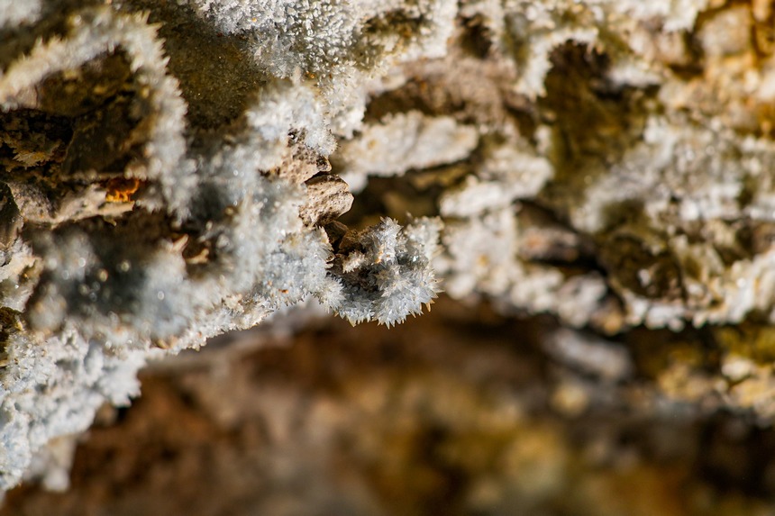 貴州綏陽雙河洞內的石膏結晶。貴州省山地資源研究所供圖
