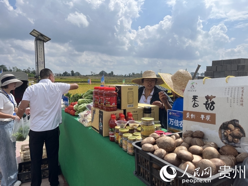 活動現場擺放了平壩農產品展示臺。人民網記者 高華攝