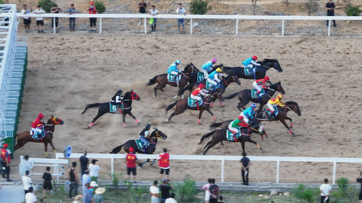 民族賽馬活動。