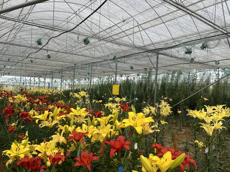 特色花卉產業 (2).jpg