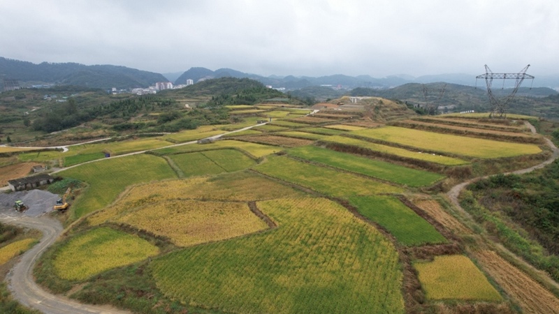航拍修文縣久長街道清江片區高標準農田--姜繼恒 攝.jpeg.jpeg