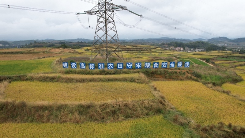 修文縣久長街道清江片區高標準農田--姜繼恒 攝.jpeg