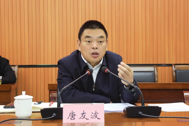 唐友波出席會議并講話。