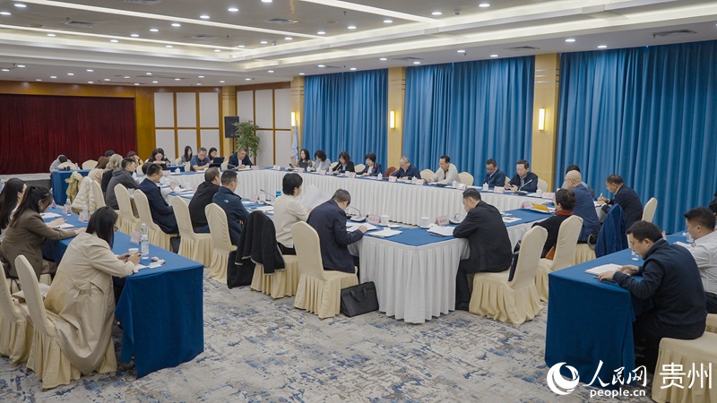 “向全球講好貴州故事”國際傳播交流座談會現場。人民網 涂敏攝