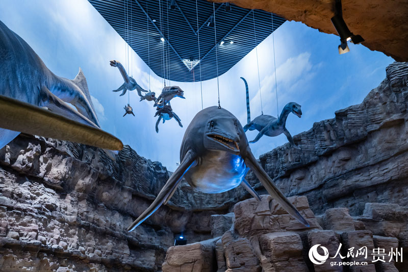 魚龍模型。人民網 陽茜攝