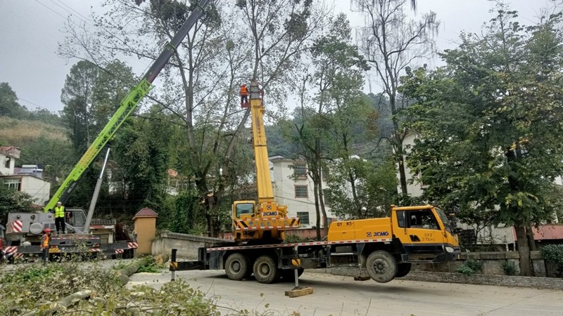 施工隊調來2臺起重機進行吊裝作業正在分割、清理這株隱患行道樹 修文縣融媒體中心姜繼恒 攝.jpeg