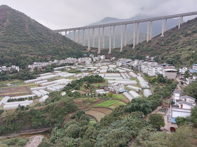 6、土城鎮華潤社區蔬菜保供基地全景。 習水縣融媒體中心供圖