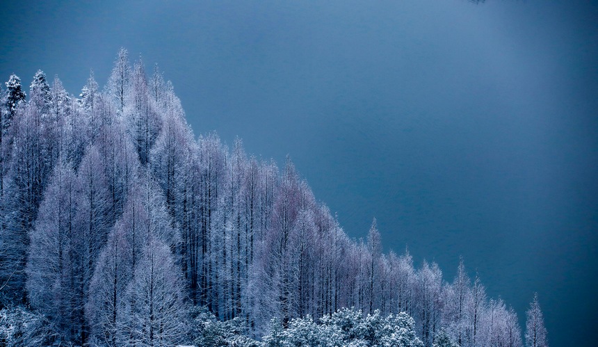 雪后的六盤水鐘鳳池園一角。趙樺攝