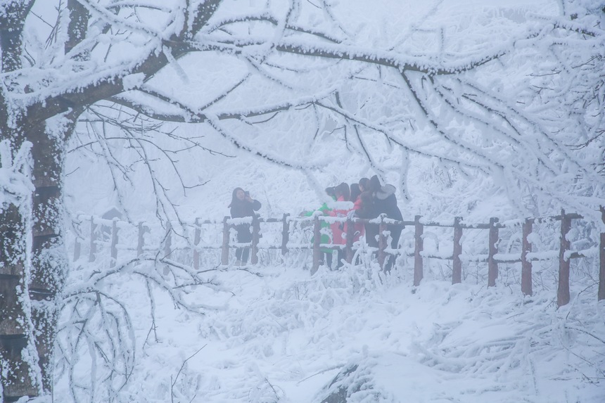 游客在六盤水梅花景區拍照。趙樺攝