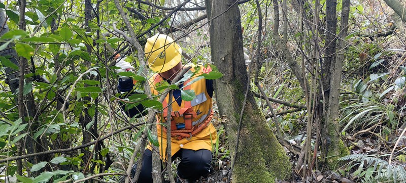 隊員撥開樹藤向山上走去。周朝中攝