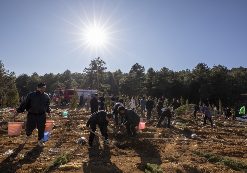植樹現場。李學友攝