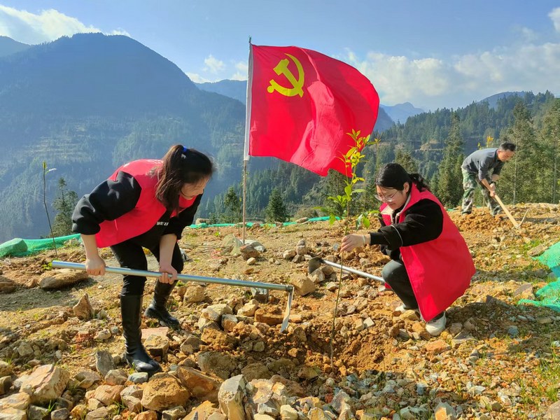 2月18日，干部職工在貴州省黔東南州劍河縣義務植樹點植樹。