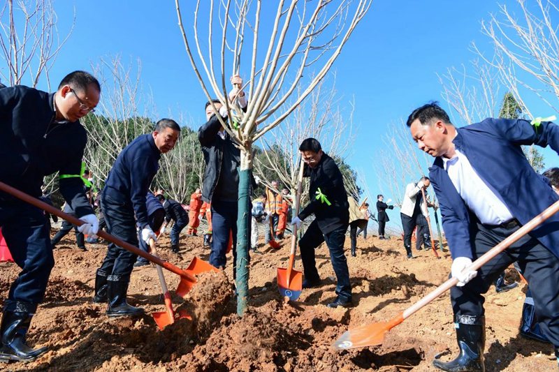 1、植樹現場。