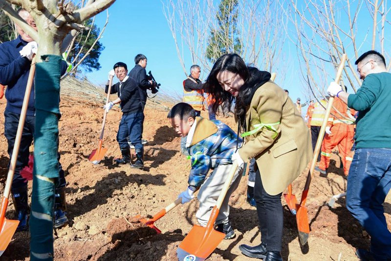 4、植樹現場。