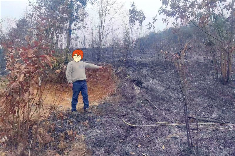 圖為鐘某某在開陽縣南江鄉新隆村大山組燃放煙花爆竹引發山火及指認現場 (3).jpg