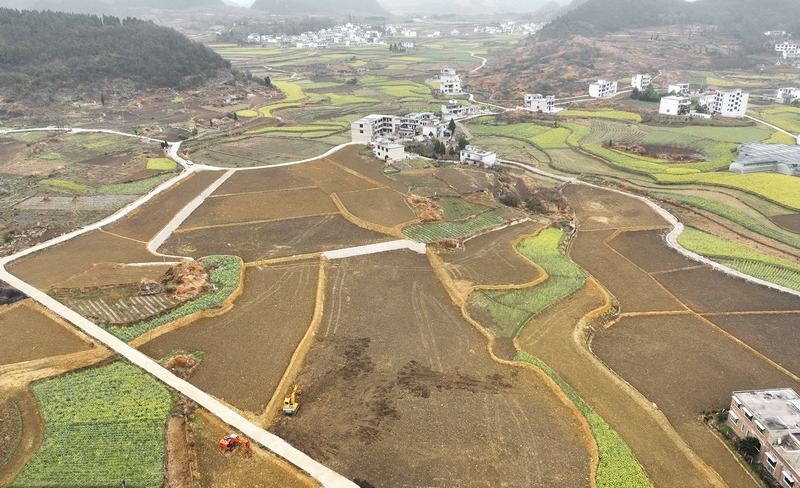 民樂村2300畝高標準農田航拍圖。代勝強 攝.jpg