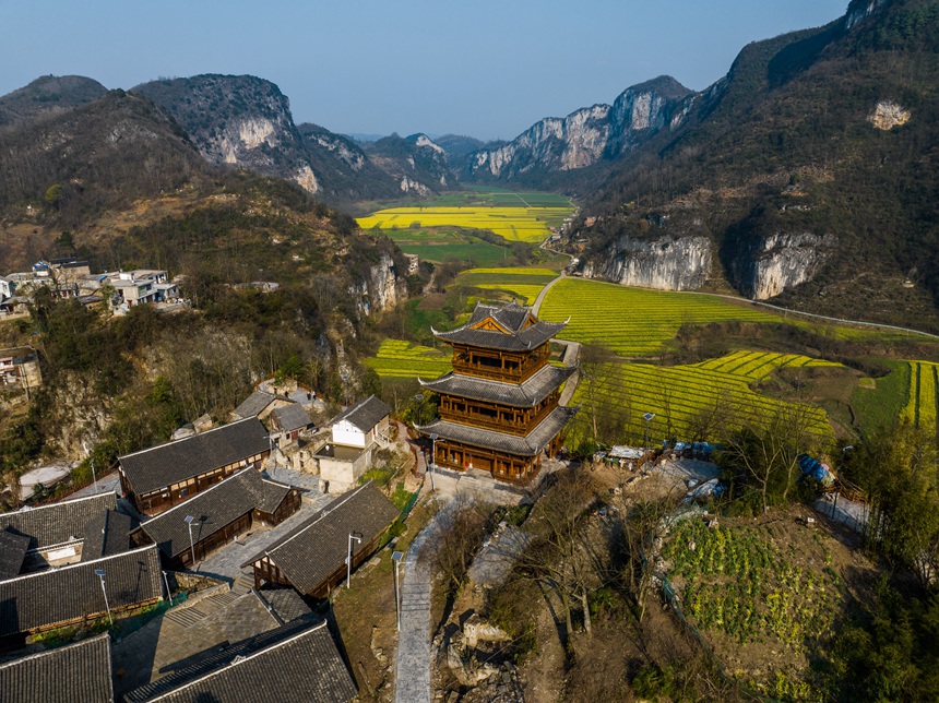 萬畝油菜花競相綻放。羅大富攝