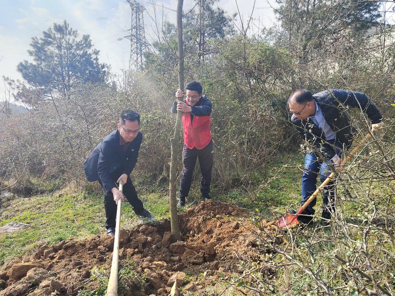 圖為：高寨鄉黨員干部開展義務植樹活動 (2).jpg