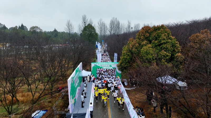 2024貴州·清鎮櫻花季系列活動“櫻約而至”趣味歡樂跑活動中，趣味歡樂跑活動現場。代勝強攝