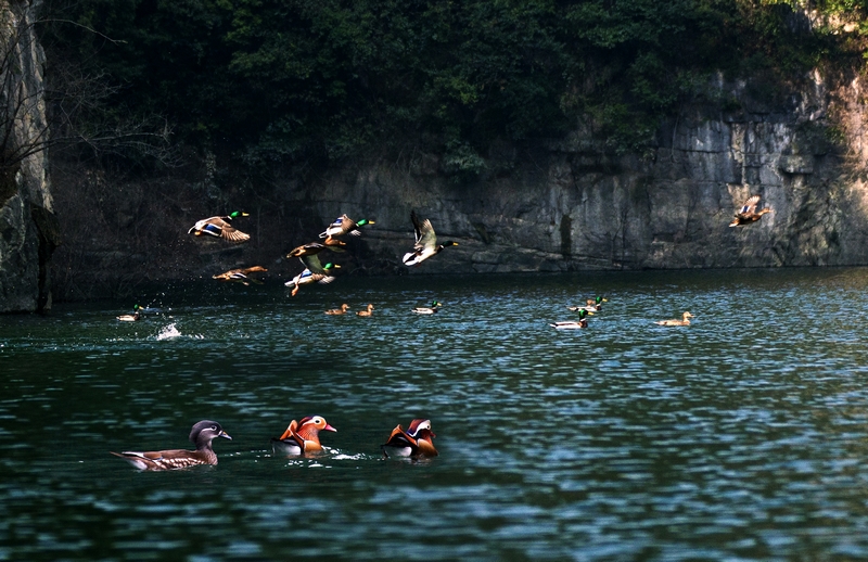 銅仁思南生態。