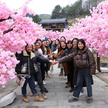 賞花、探秘……