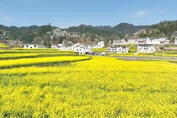 與春天來一次浪漫約會