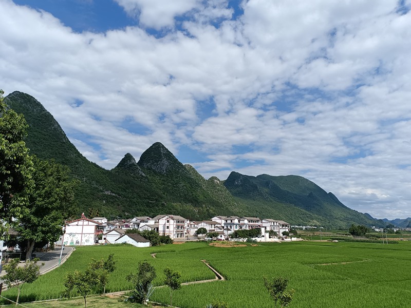 民族特色村寨。