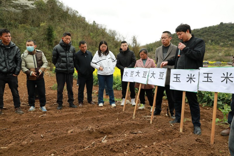(2)2024年3月18日，圖為農技專家為大家講解大豆玉米帶狀復合種植日常管理注意事項。（任芳靚 攝）.jpg
