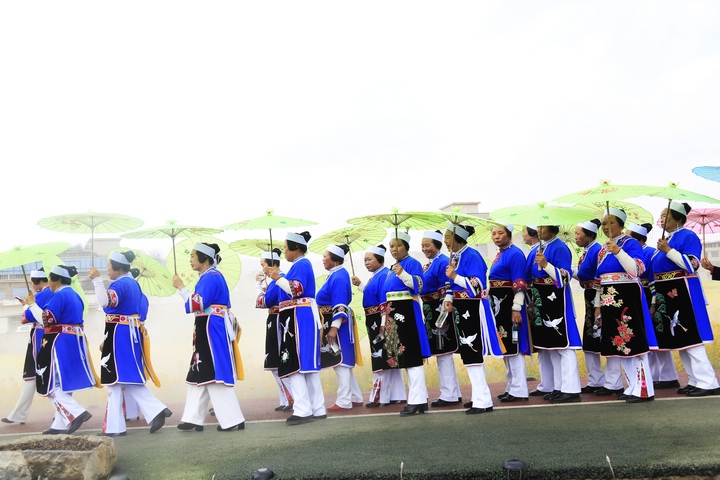 昊禹油菜花走秀。