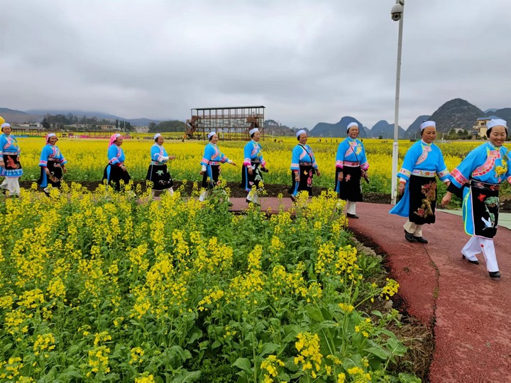 昊禹油菜花走秀。