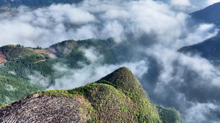 貴州納雍出現云海奇觀，宛如仙境。