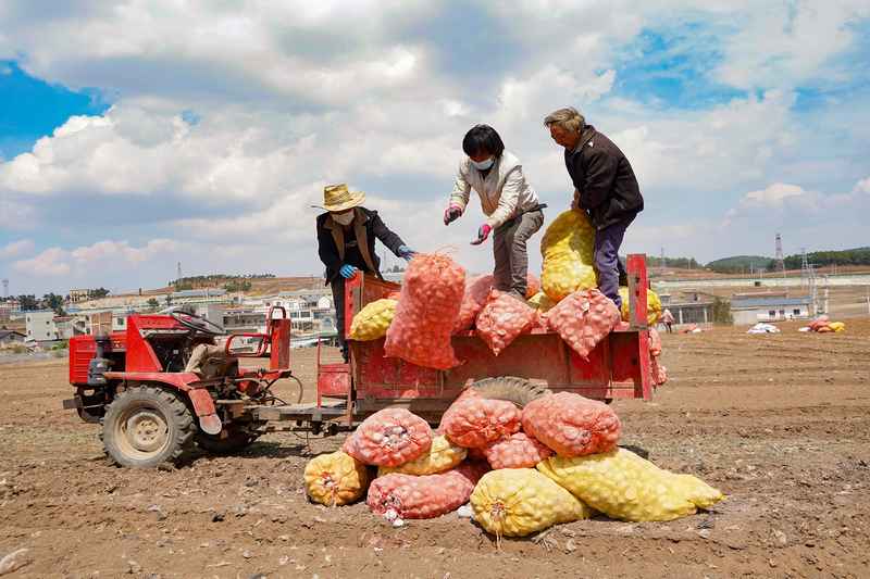 3月31日，在威寧自治縣觀風海鎮全程機械化馬鈴薯種薯擴繁基地，農機在耕種馬鈴薯。趙偉攝