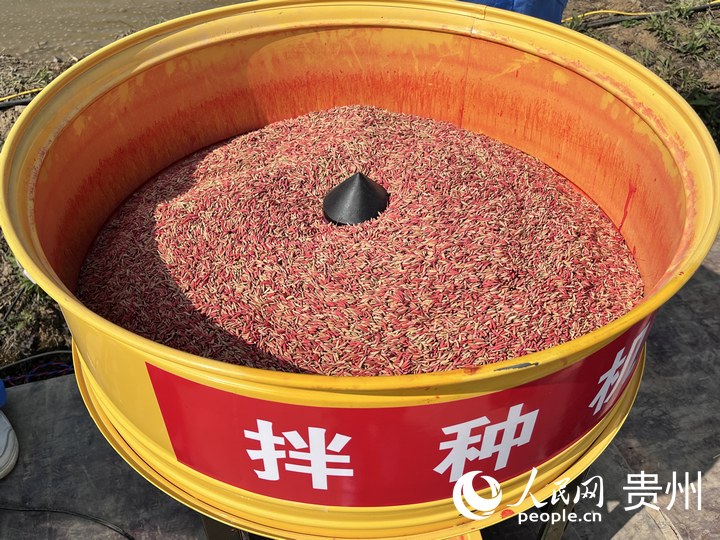 貴陽市堰塘村農機作業現場，拌種機正在運轉。人民網 陳潔泉攝