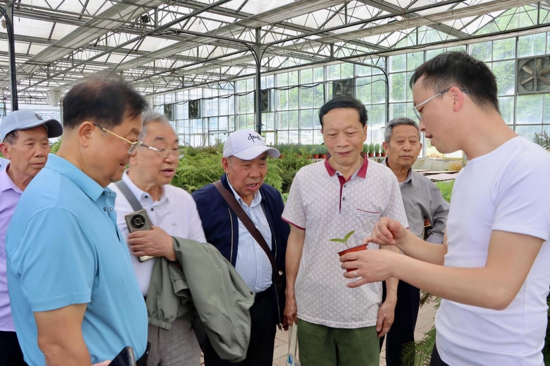 瑞禾集團有關負責同志現場作育苗講解。